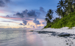 Tropical beach sunset with palm trees and rocky shore